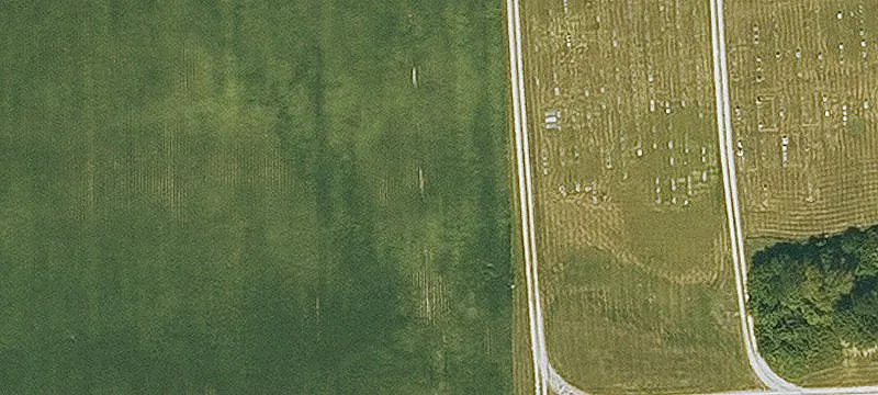 Bonaparte, IA 52620