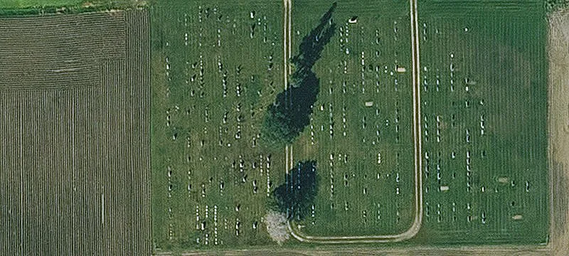 Maurice, IA 51036