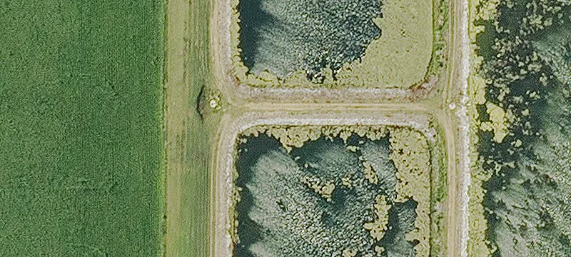 Ocheyedan, IA 51354