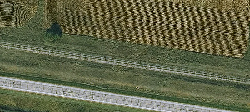 Dows, IA 50071