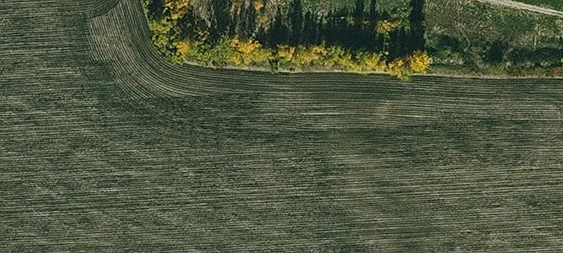  Wall
