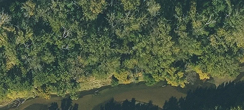 Riverton, IA 51650