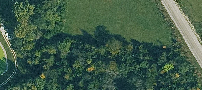 Panora, IA 50216