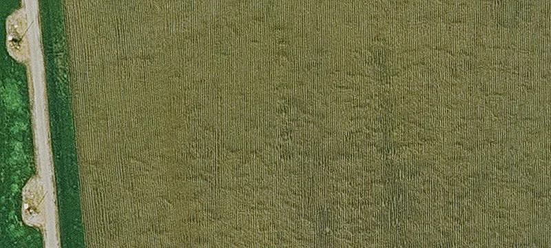 Maurice, IA 51036