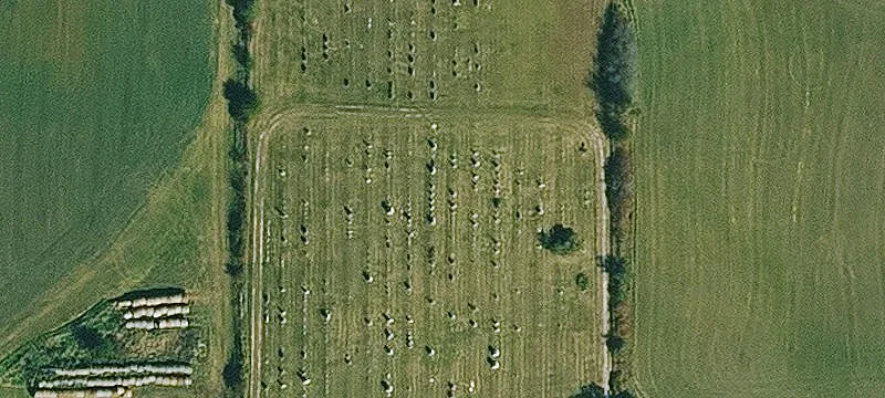 Diagonal, IA 50845