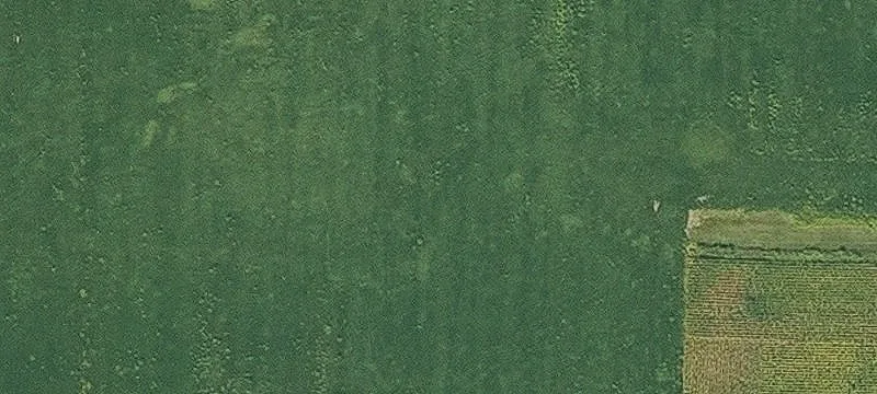 Walker, IA 52352