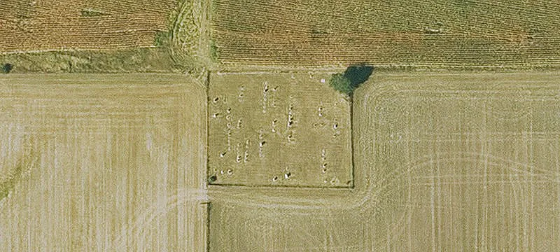 Birmingham, IA 52535