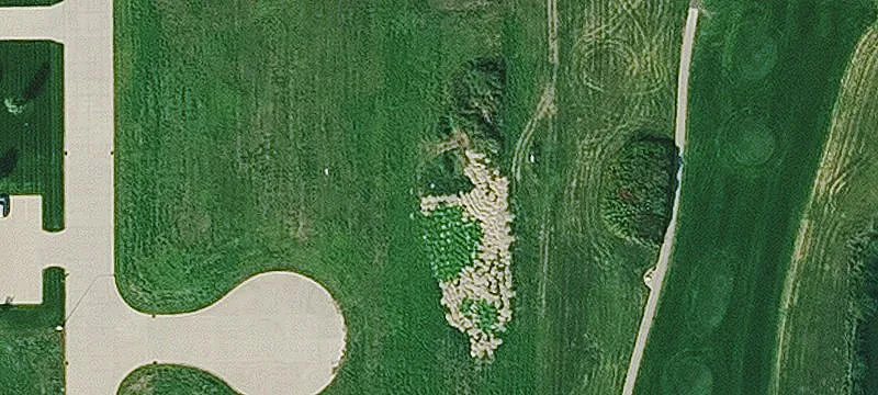 Sioux Center, IA 51250