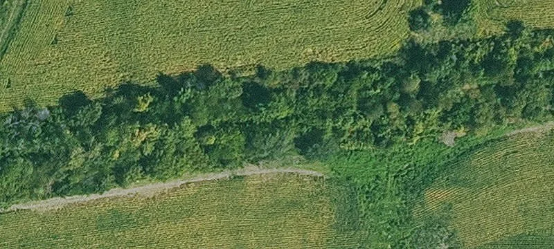 Bloomfield, IA 52537