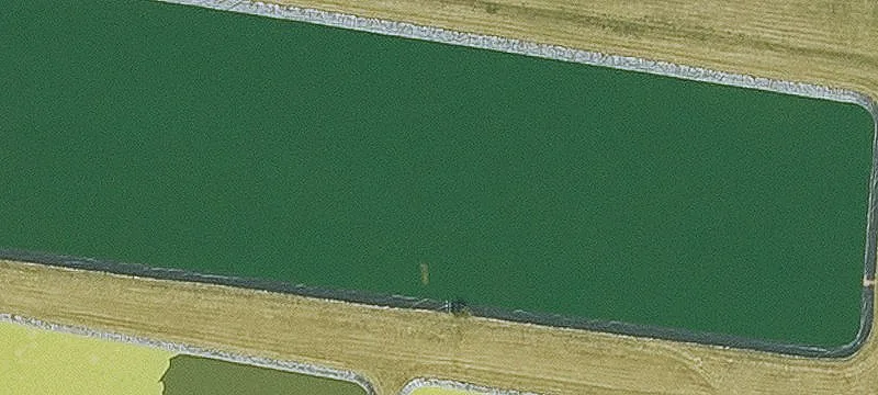 Zwingle, IA 52079