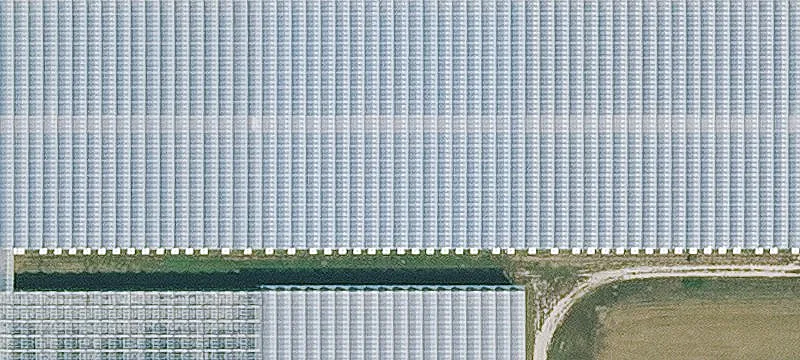 Red Oak, IA 51566