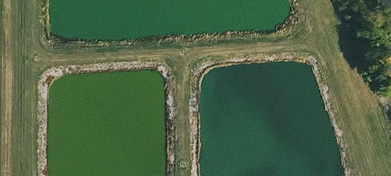 Coin, IA 51636