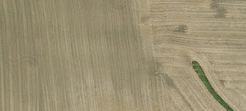 Riceville, IA 50466