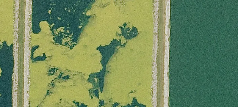 Graettinger, IA 51342