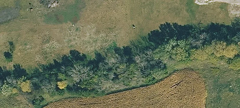 Lenox, IA 50851
