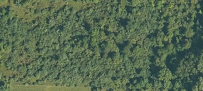 Atalissa, IA 52720