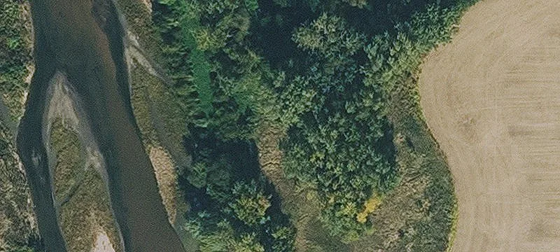 Shenandoah, IA 51601
