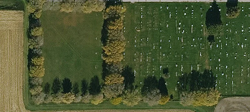 Breda, IA 51436