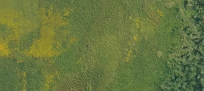 Cantril, IA 52542
