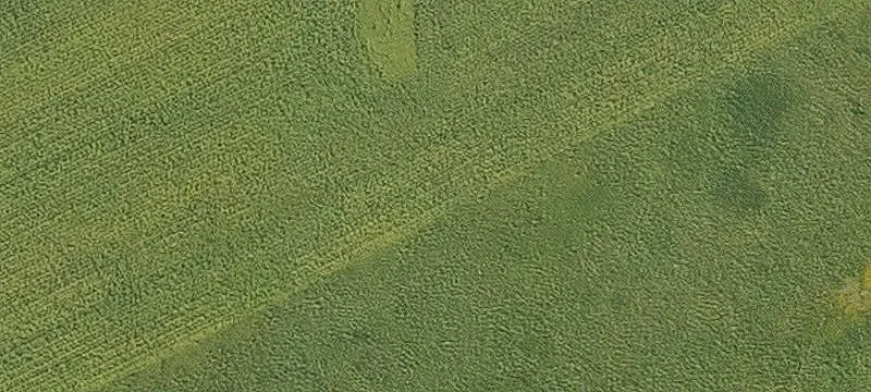 Cantril, IA 52542