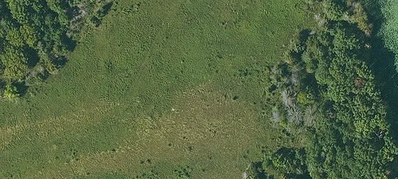 Cantril, IA 52542