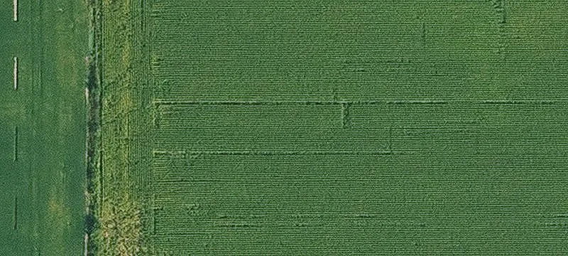 18823 Hwy T14
