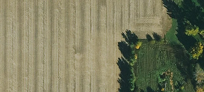 Kingsley, IA 51028
