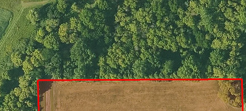 Arlington, IA 50606