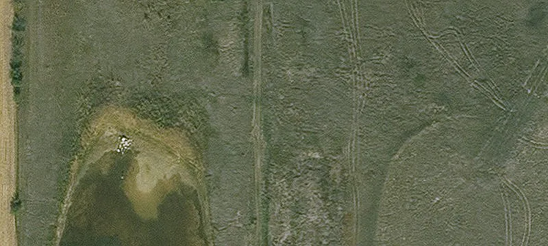 Grundy Center, IA 50638
