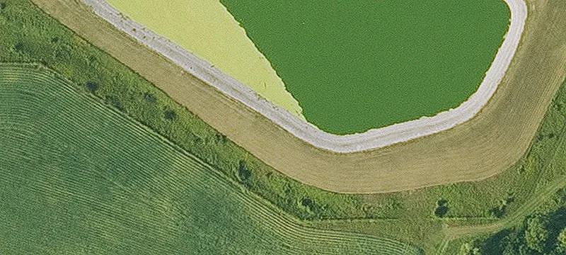 Arlington, IA 50606