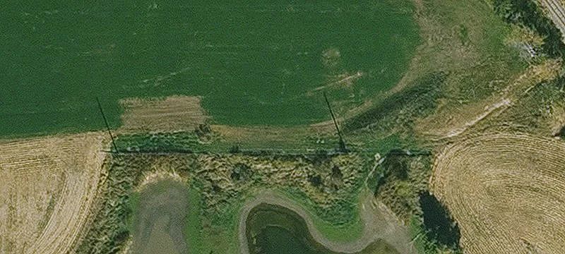 Osage, IA 50461