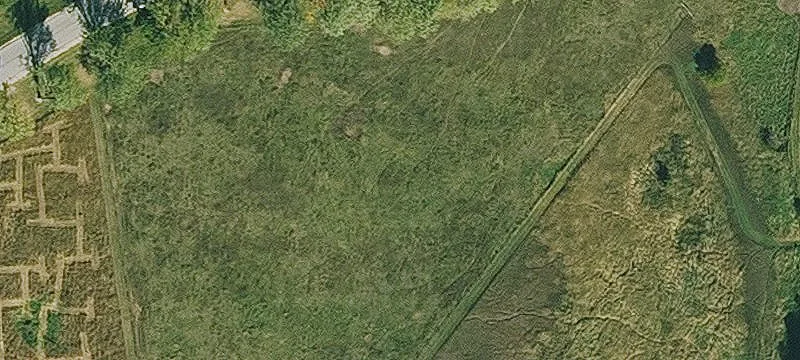 Swan Lk Dr
