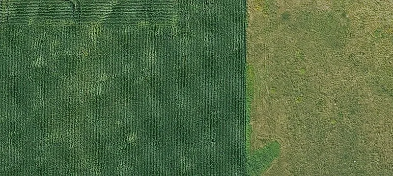 1048 X Ave Tower, Unit 80