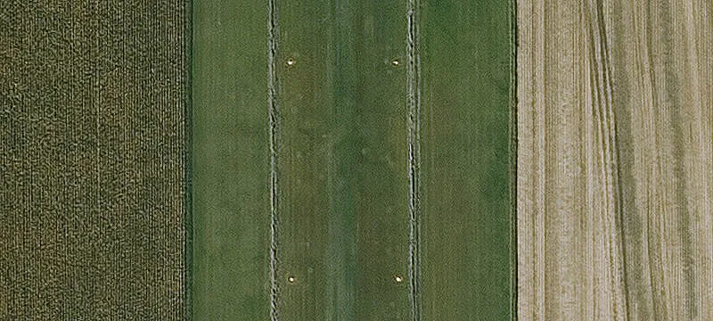 Belmond, IA 50421
