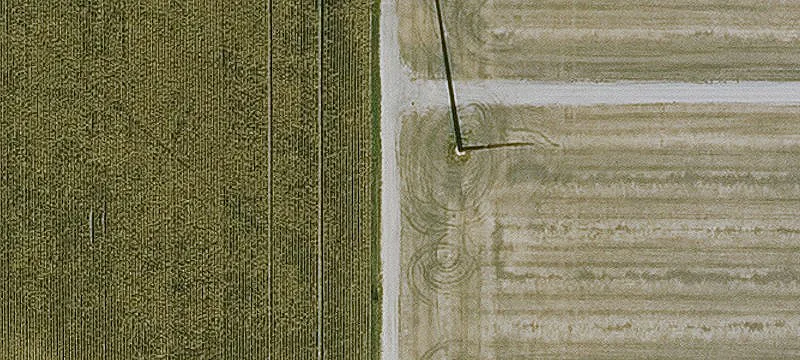 Stacyville, IA 50476