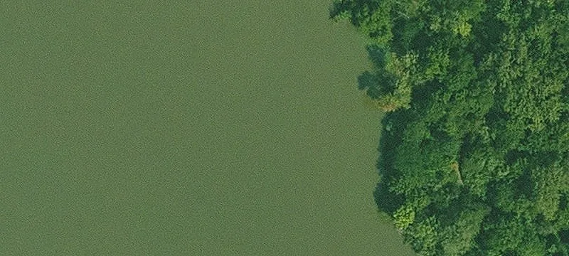 Allerton, IA 50008