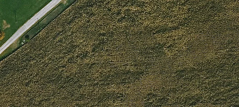 Corwith, IA 50430