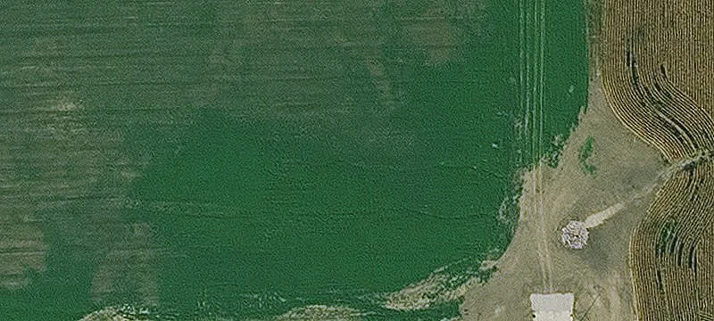 Sioux Center, IA 51250