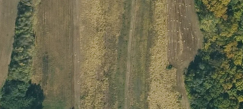 Hamburg, IA 51640