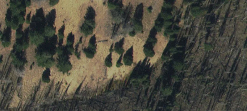 2000 Redfish Lk Rd