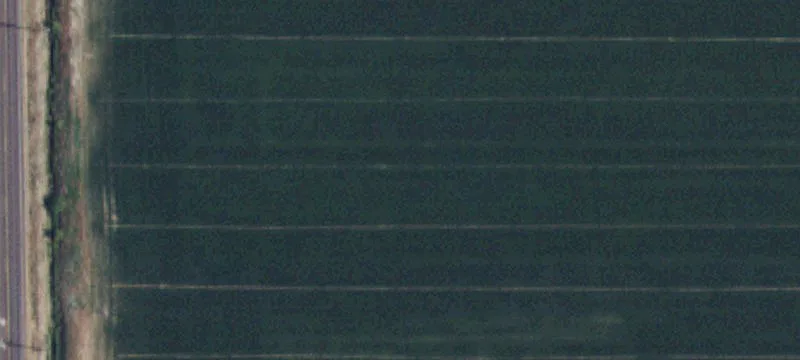 Pocatello, ID 83202