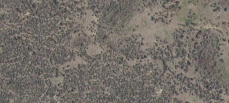 Shoshone, ID 83352