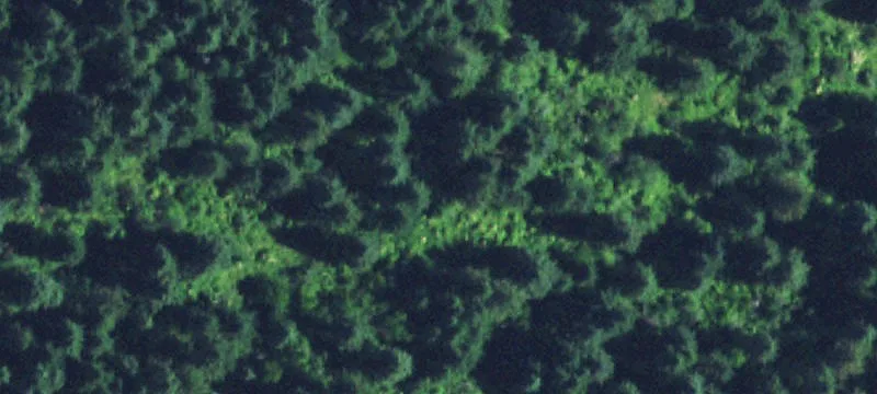 Grangeville, ID 83530