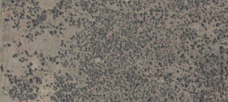 Shoshone, ID 83352
