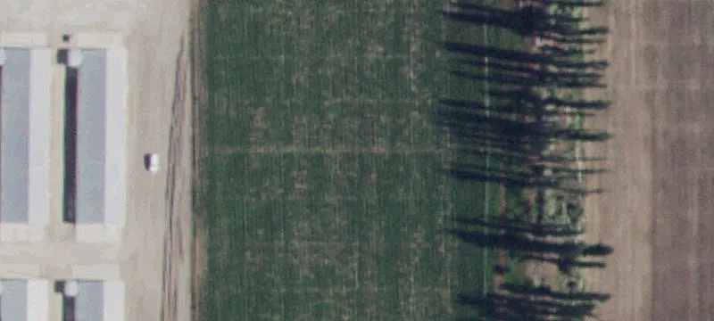 Paul, ID 83347
