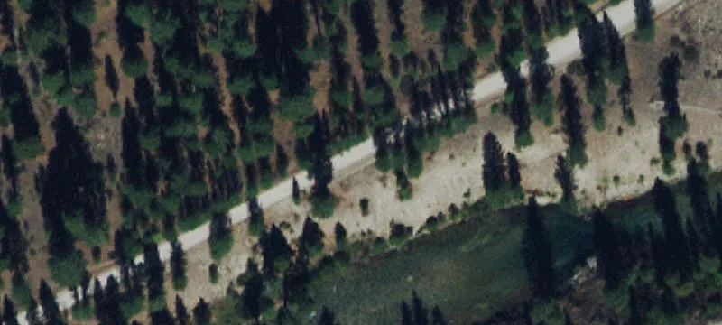 8000 Hwy 21