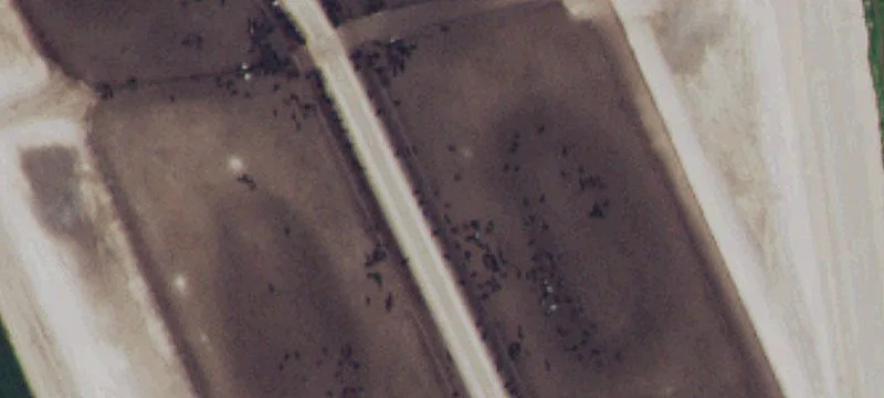 Pearl Rd