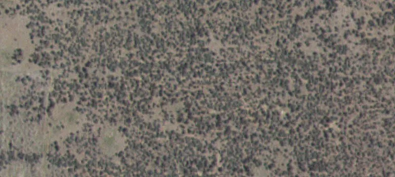 Shoshone, ID 83352