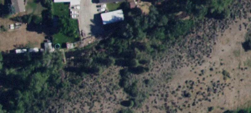 Inkom, ID 83245