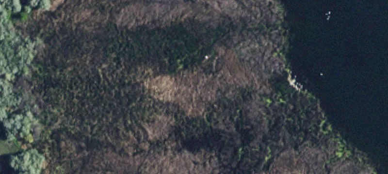Buhl, ID 83316
